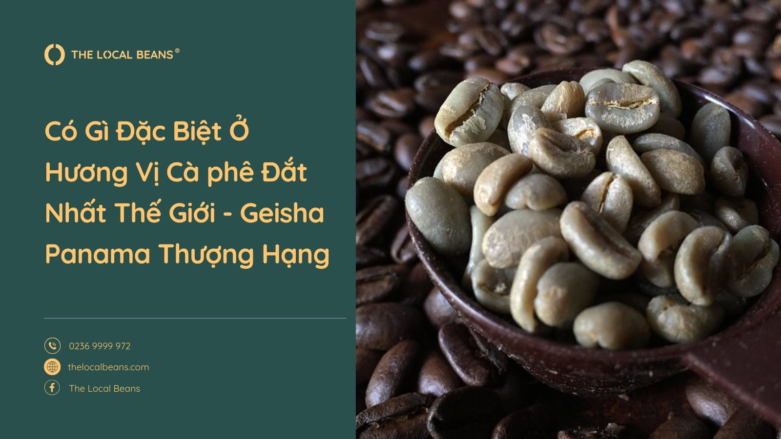 những hạt cà phê geisha
