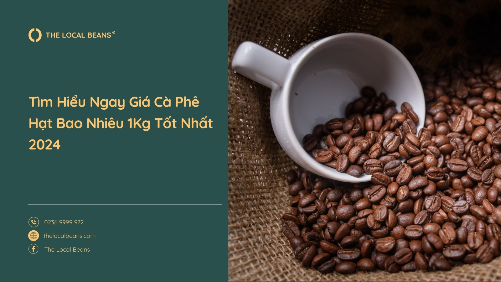 Tìm Hiểu Ngay Giá Cà Phê Hạt Bao Nhiêu 1Kg Tốt Nhất 2024