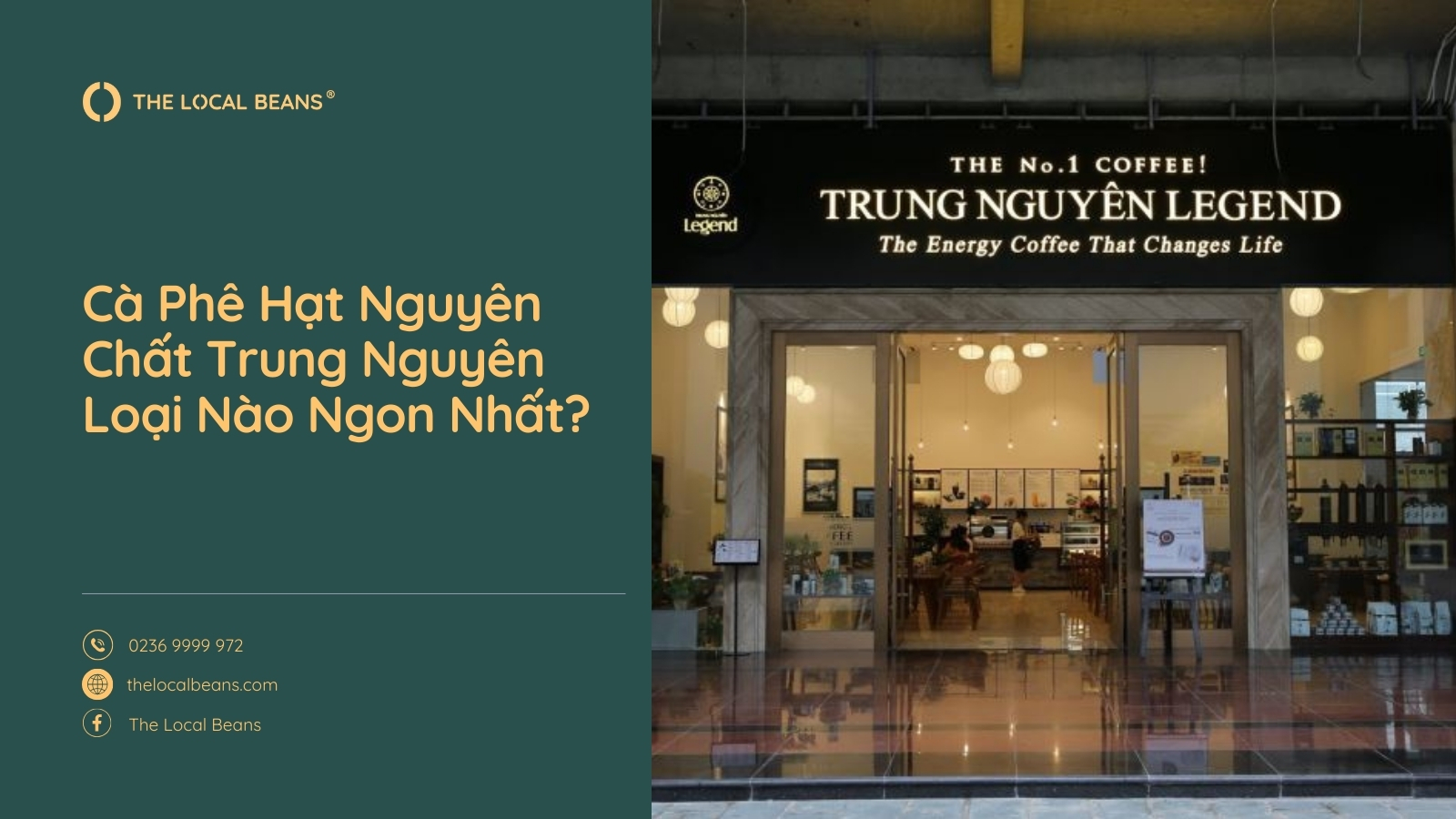 Cà Phê Hạt Nguyên Chất Trung Nguyên Loại Nào Ngon Nhất?