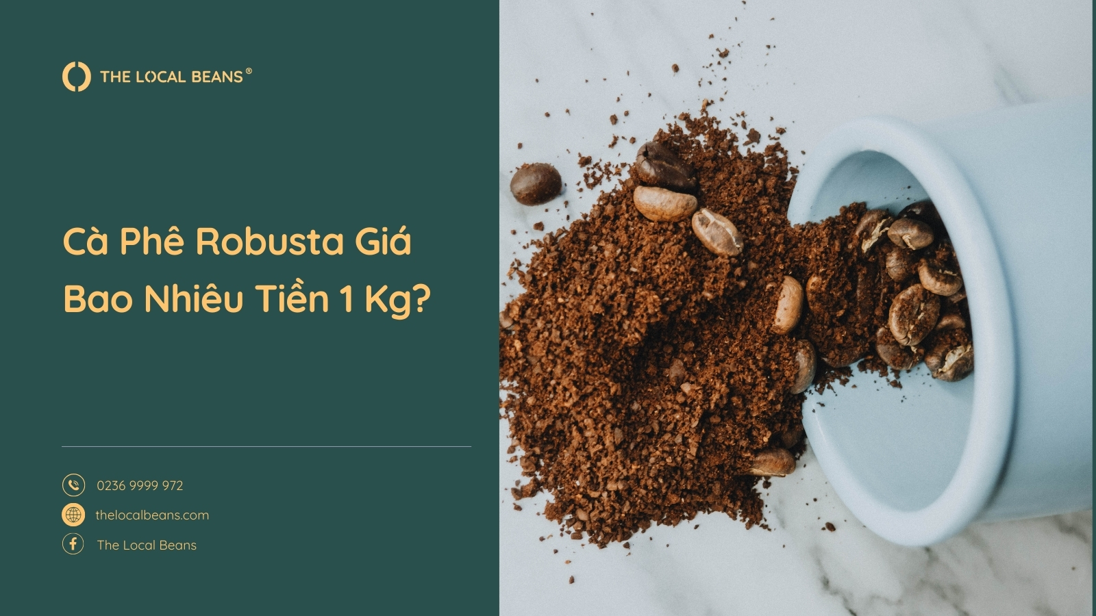 Cà Phê Robusta Giá Bao Nhiêu Tiền 1 Kg?