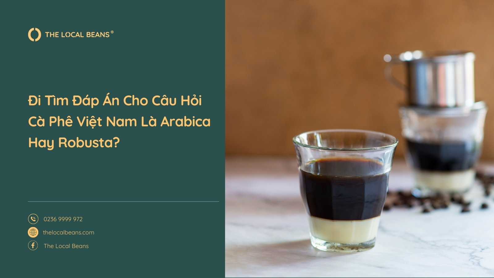 Đi Tìm Đáp Án Cho Câu Hỏi Cà Phê Việt Nam Là Arabica Hay Robusta?