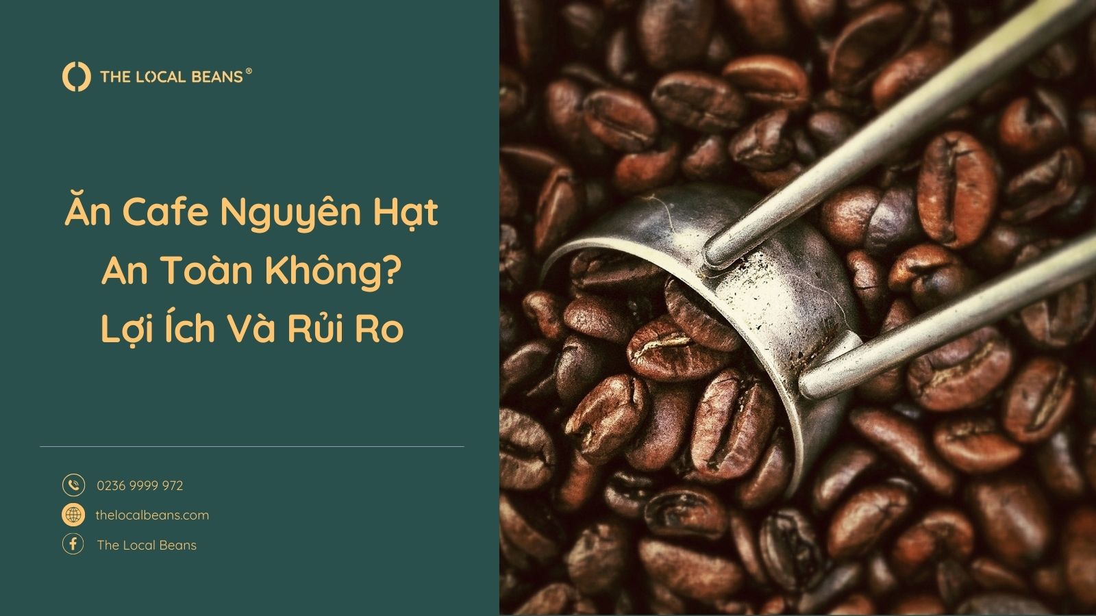 Ăn Cafe Nguyên Hạt An Toàn Không? Lợi Ích Và Rủi Ro