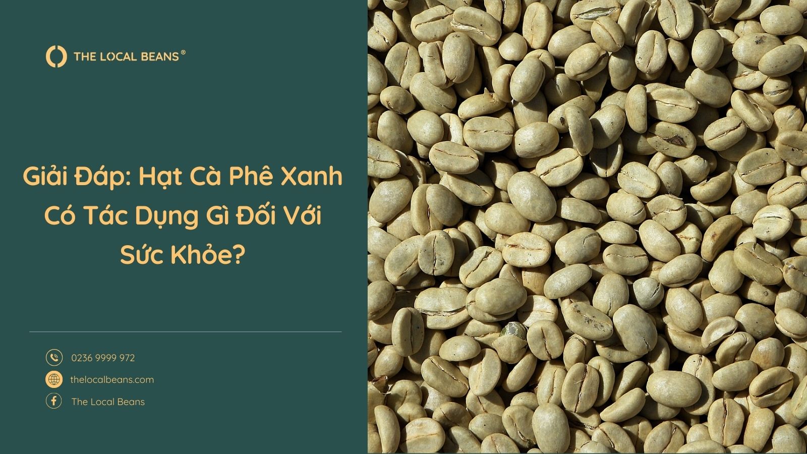 Hạt Cà Phê Xanh Có Tác Dụng Gì Cho Sức Khỏe? Bật Mí Sự Thật Ít Người Biết