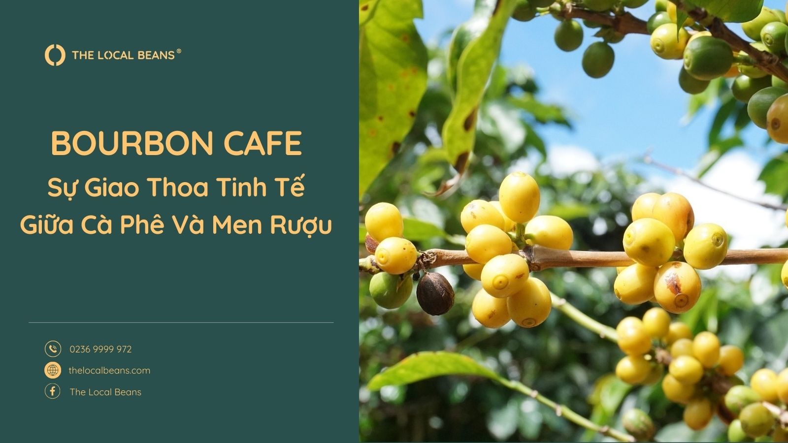 Khám Phá Hương Vị Bourbon Cafe – Sự Giao Thoa Tinh Tế Giữa Cà Phê Và Men Rượu