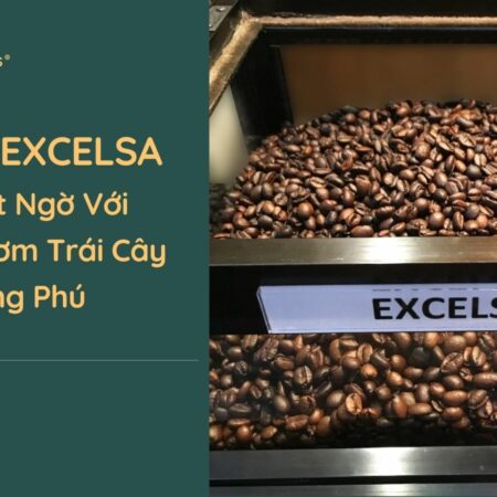 Hạt cà phê Excelsa